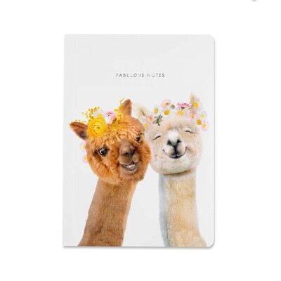 Notebooks - Alpaca