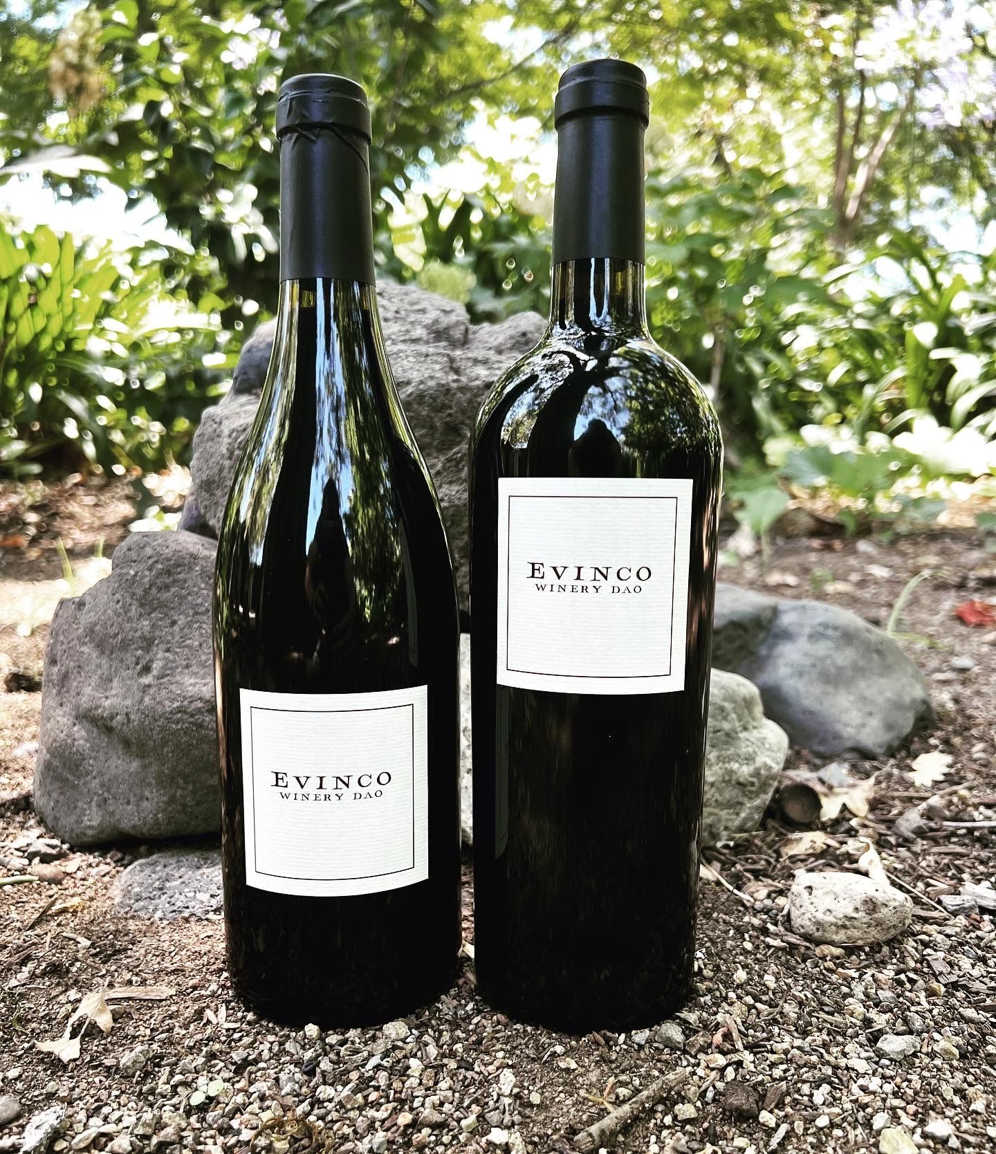 Evinco Allocation Bundle