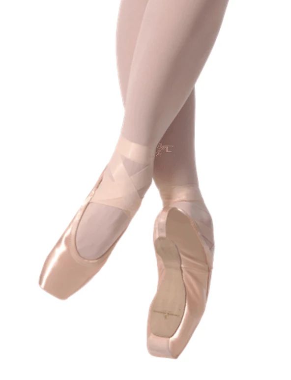 Gaynor Minden Lyra Classic Fit Pointe Shoe