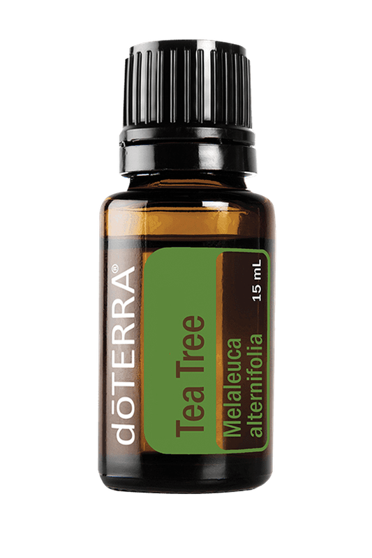 Tea Tree Essential Oil