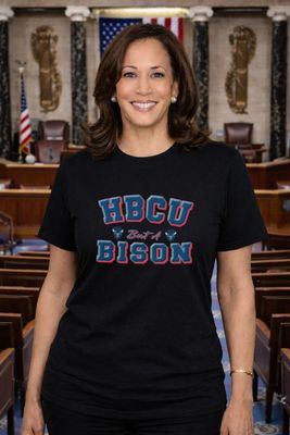 HBCU But A Bison Tee (Unisex)(Howard University)