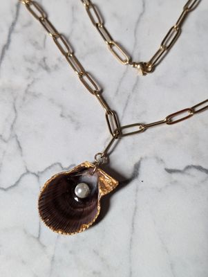 Coquillages sertis
