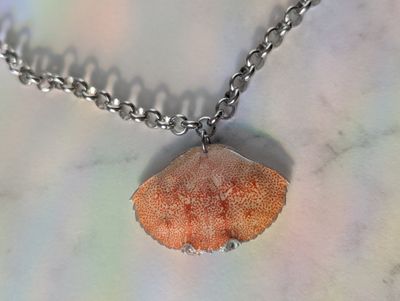  Eden choker - Collier