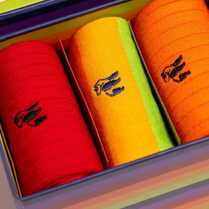 SWOLE PANDA SP028 3 19 L PRIDE GIFT BOX 3 PAIR SOCKS