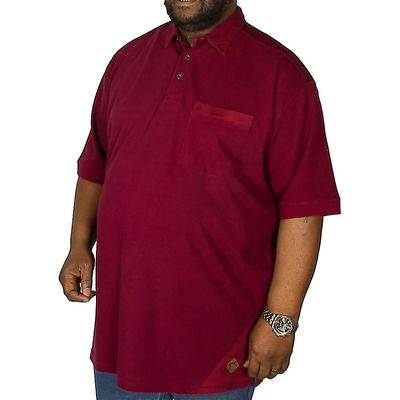 Plain Polo w. Stripe Collar