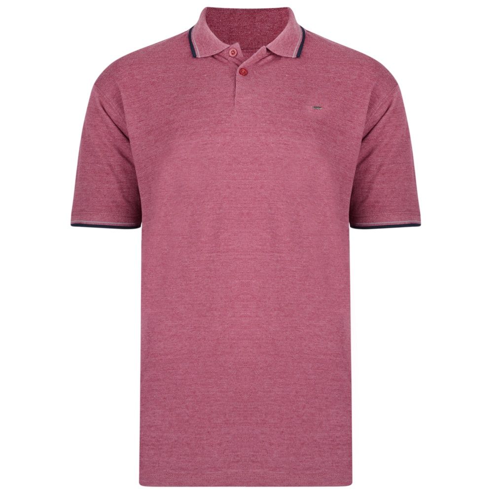 5289 Plain Polo with Tipped