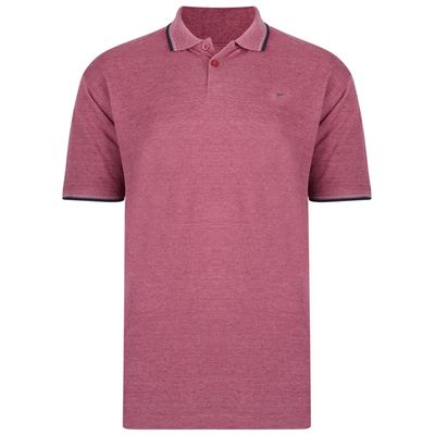 5289 Plain Polo with Tipped