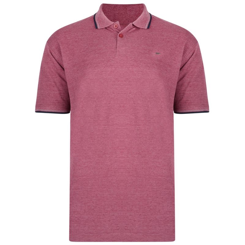 5289 Plain Polo with Tipped