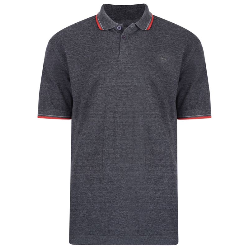 5289 Plain Polo with Tipped
