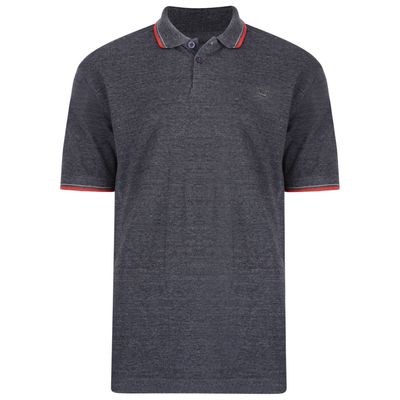 5289 Plain Polo with Tipped