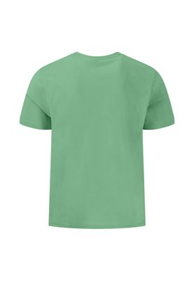1513 1500 FYNCH HATTON T/SHIRTS COL 722