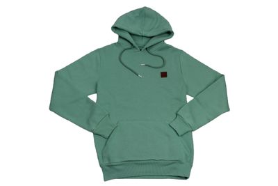 ML301585 COLORADO OVERHEAD HOOD BIRDS EGG