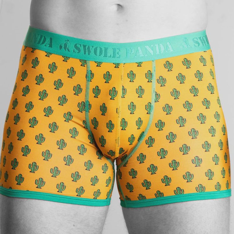 SWOLE PANDA BOXERS TWIN  BUMBLEBEES/CACTUS