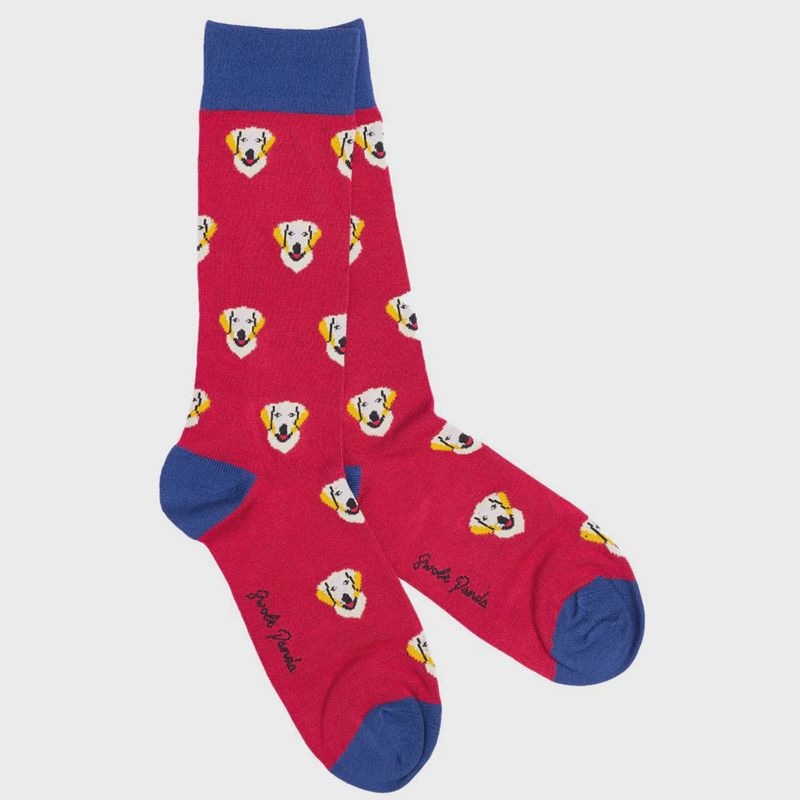 SWOLE PANDA SOCKS SP444 GOLDEN RETRIVER