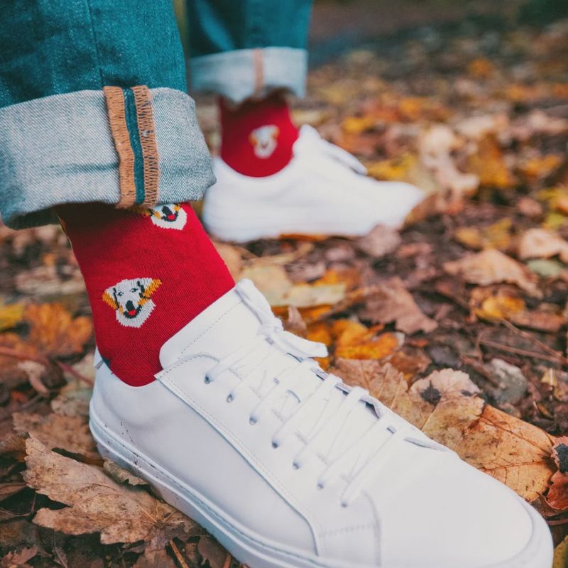 SWOLE PANDA SOCKS SP444 GOLDEN RETRIVER