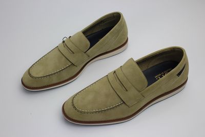 PUHOI SHOE FERN
