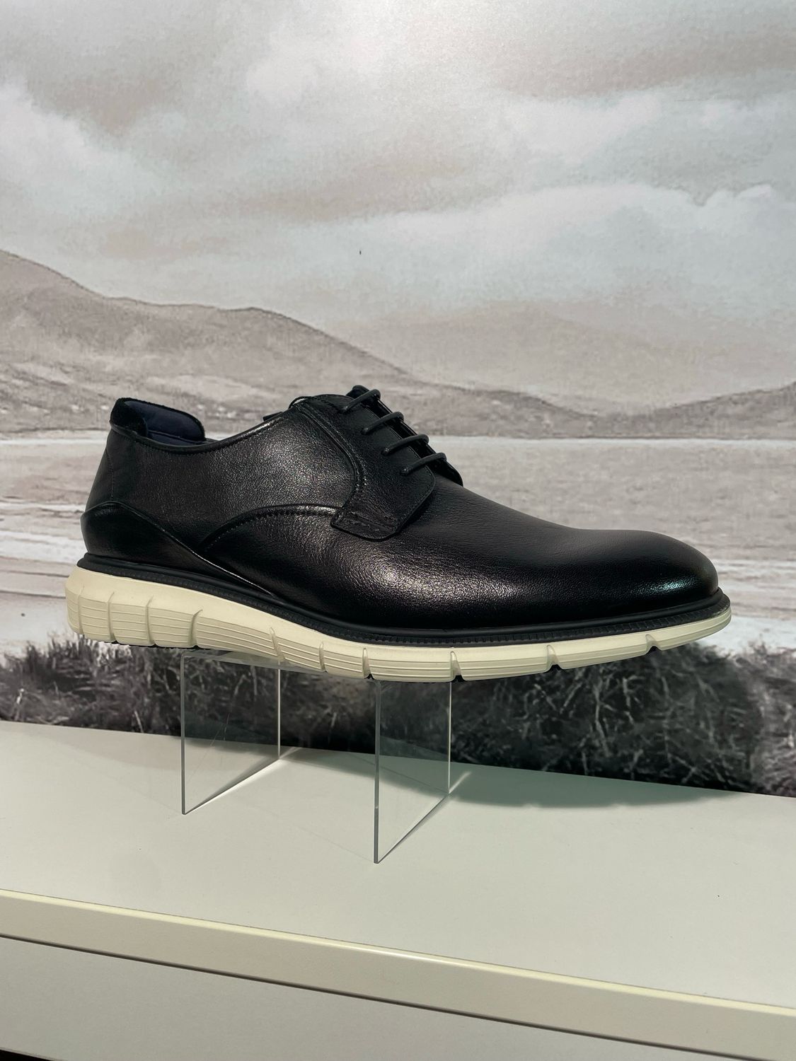 GOLDEN ACE SHOE SCHWARZ