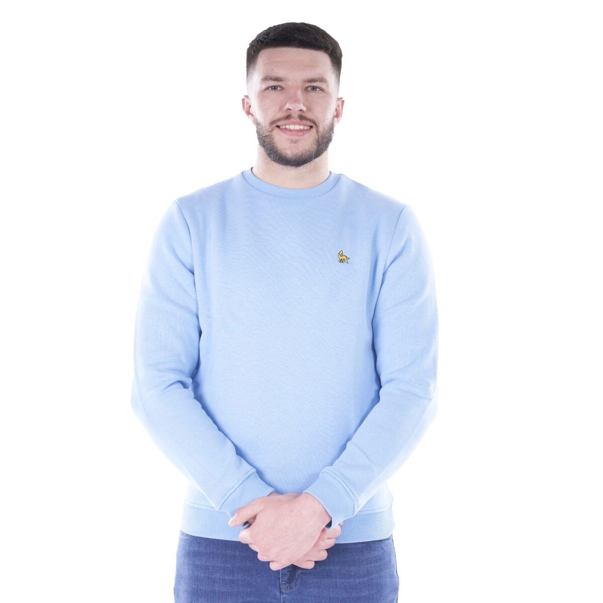 ML301575 MICHAN CREW NECK SWEATSHIRT SKY