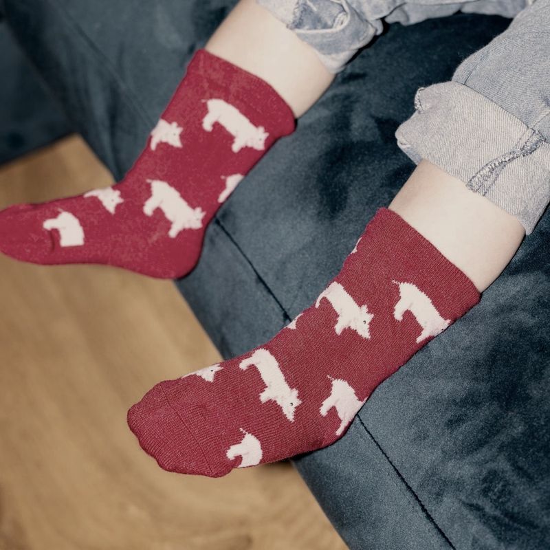 SWOLE PANDA SP467 7/9 Y KIDS PIG SOCKS