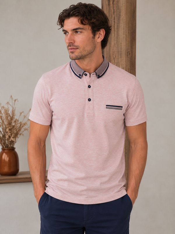 ADVISE KNITTED COLLAR POLO S/BERRY POLO323