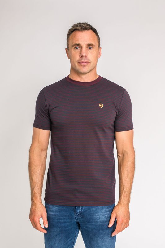 JAGUARS TEE PLUMMED STRIPE