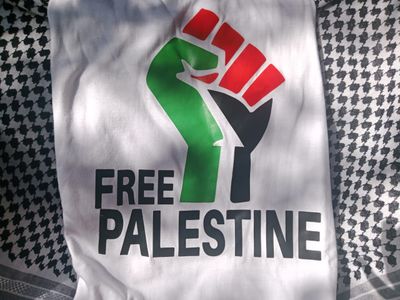 Customized white t-shirt  with Free Palestinian Flag  T-Shirt Summer Short Sleeve Casual