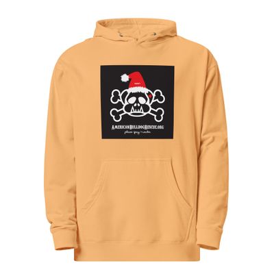 2025 Naughty Hoodie-Light Colors