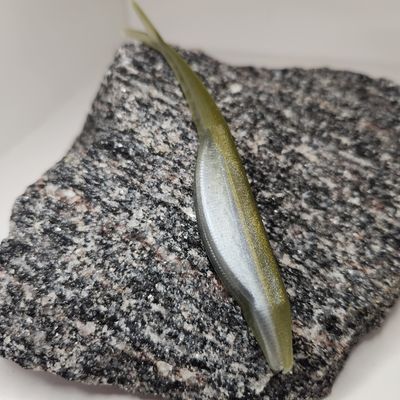 5&quot; Split tail Jerk Laminate 6 pk