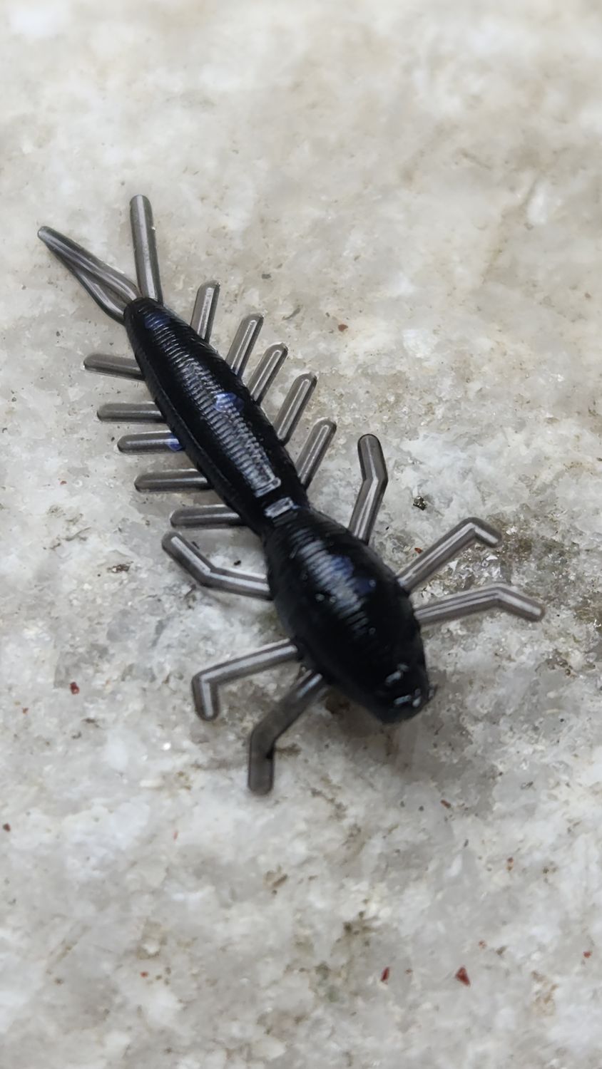 1&quot; Mayfly 50 pk