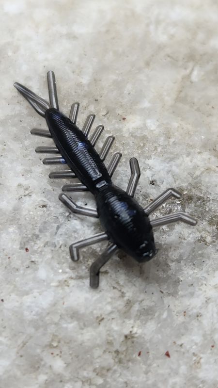 1&quot; Mayfly 50 pk