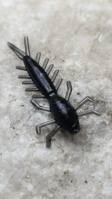 1&quot; Mayfly 50 pk