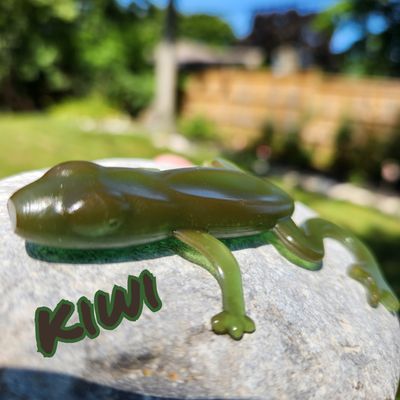 3.5 Froggy Style 3 pk