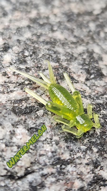 0.875 Cricket 50 pk