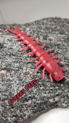 3" Helgie 8 pk