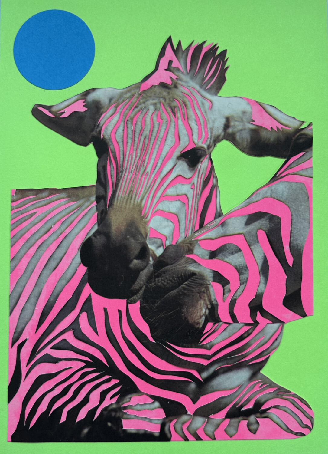 Pink Zebras I (2021)