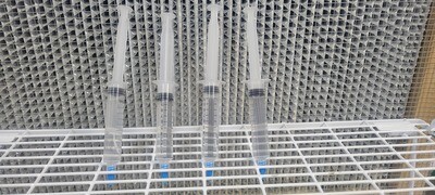 Isolated Spore Syringes