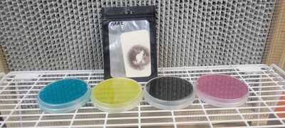 Spore Prints