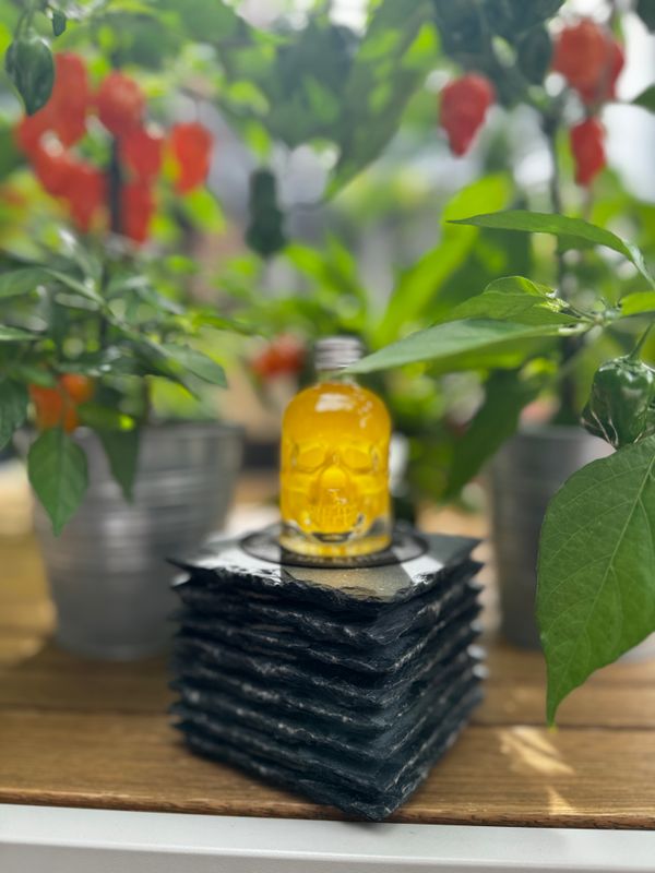 Chiliöl "Todestopfen"