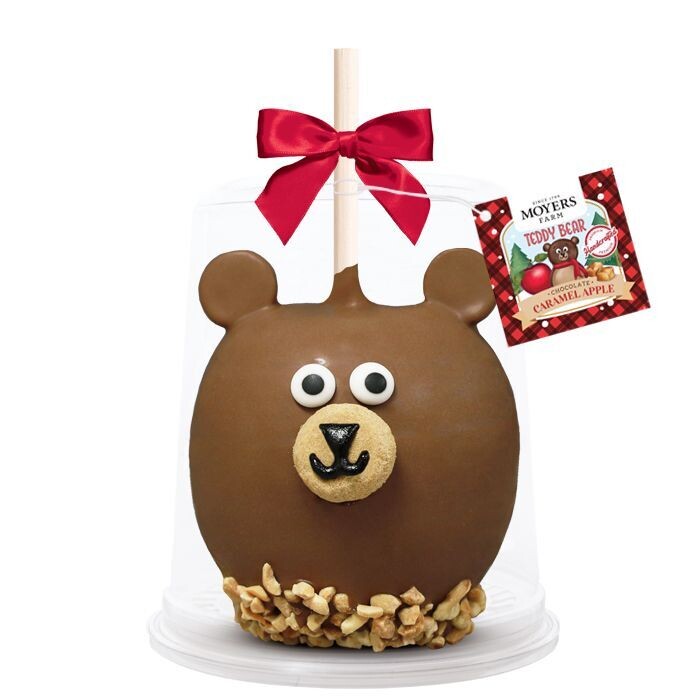 Teddy Bear Single - Chocolate Caramel Apple