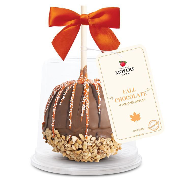 Fall - Chocolate Caramel Apple