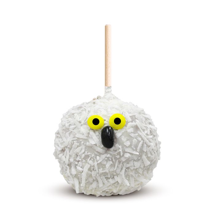 Owl - Novelty Apple