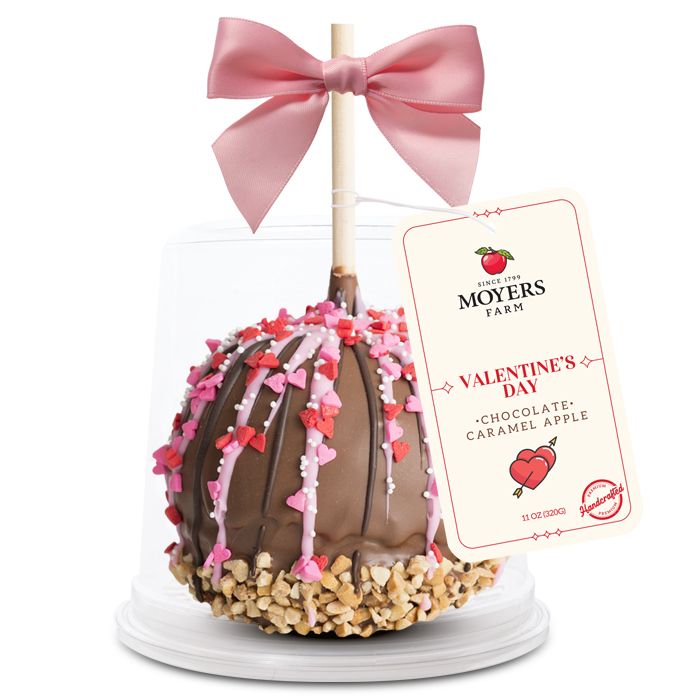Valentine's Day (Red and Pink) - Chocolate Caramel Apple