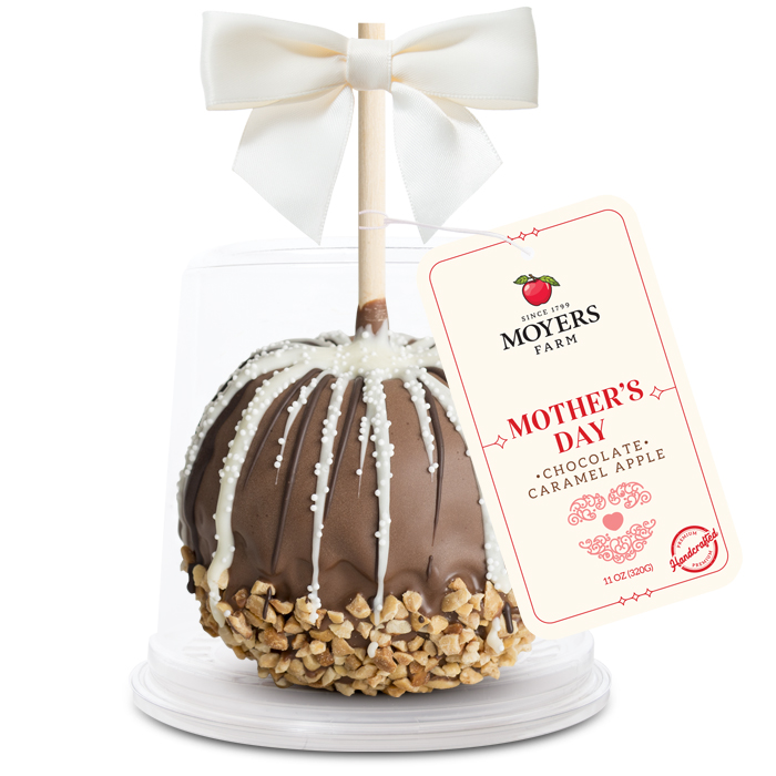 Mother's Day / Teacher's Day (Pink and White) - Chocolate Caramel Apple