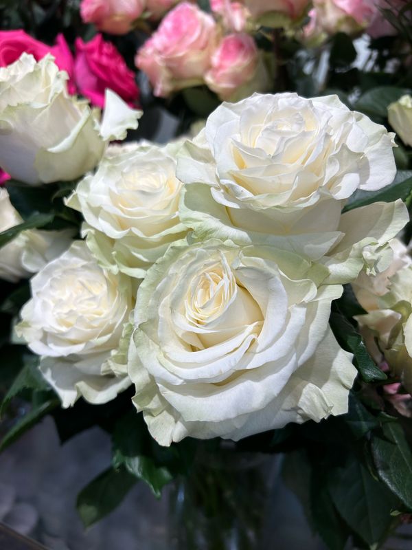 Rose Bouqet