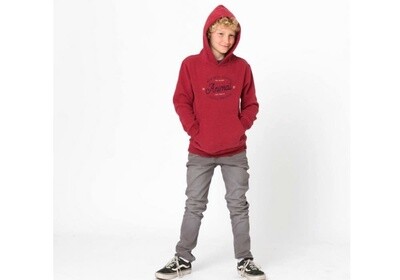 Animal Atlas Hoodie