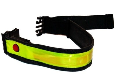 Smart Arm/Ankle LED Band