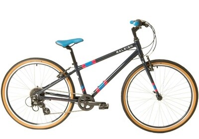 Raleigh Pop 26&quot;