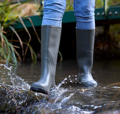 Wellingtons