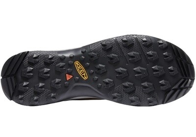 Keen Tempo Flex Waterproof Shoe