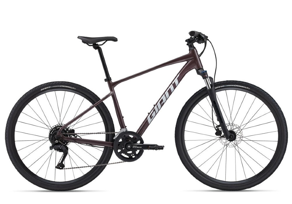 Giant Roam 2